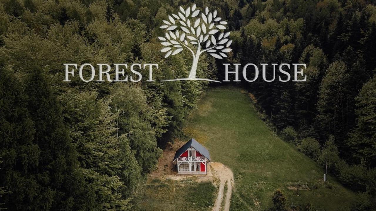 Apartment Forest House