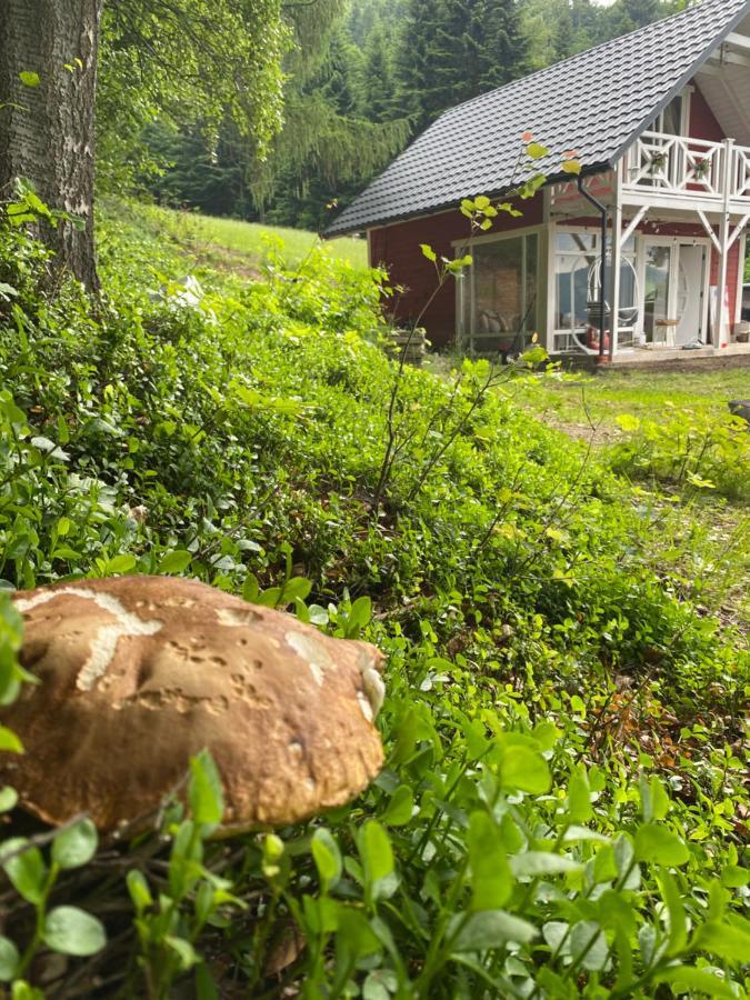 Апартаменти Forest House