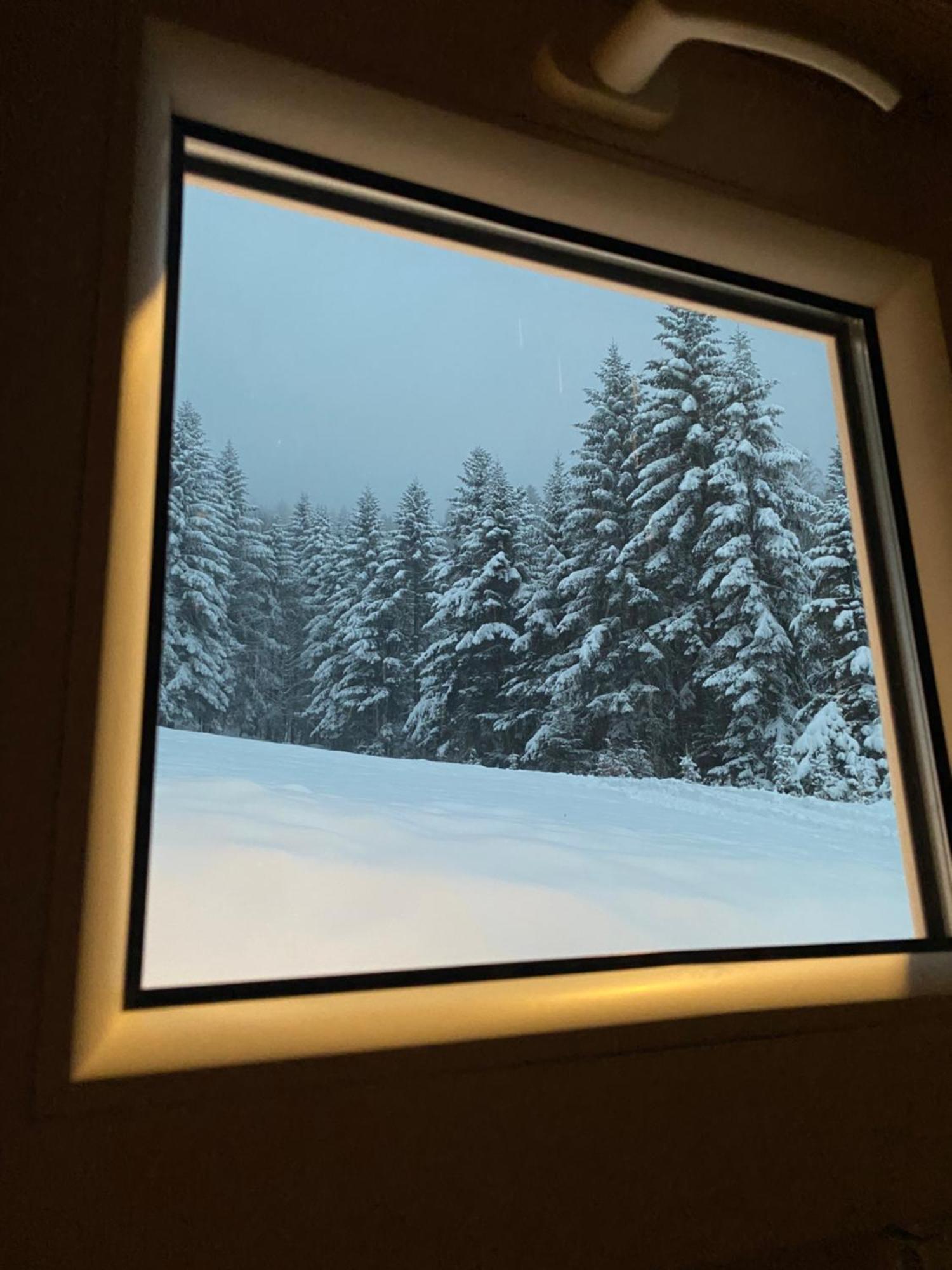 Apartment Forest House Targanice